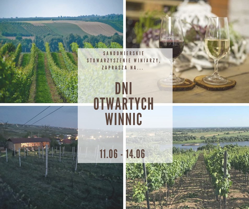 Dni Otwartych Winnic