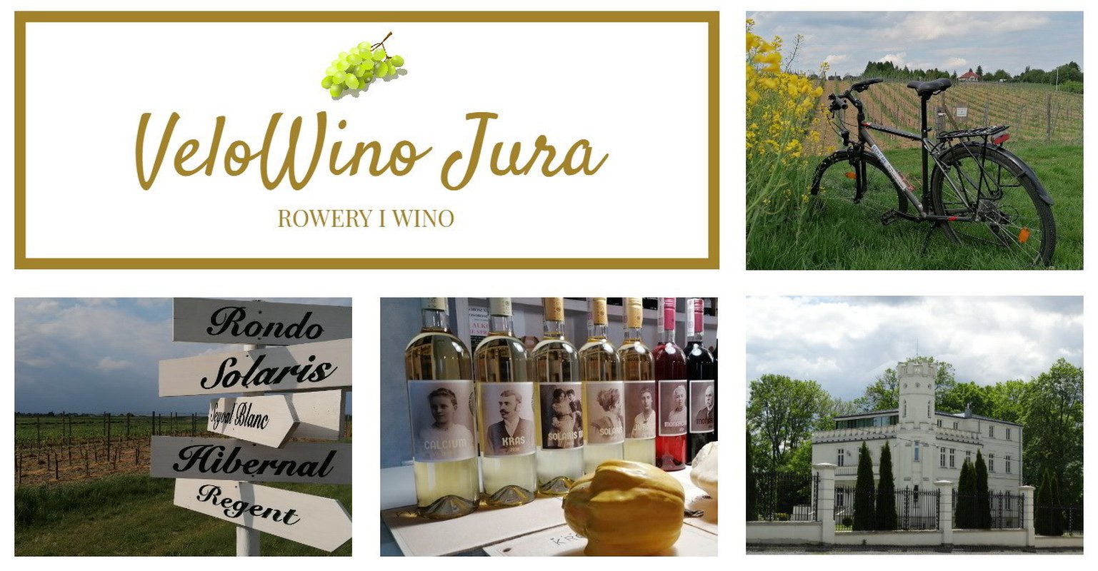 Rower i wino - Jura Krakowsko-Częstochowska, 9 sierpnia