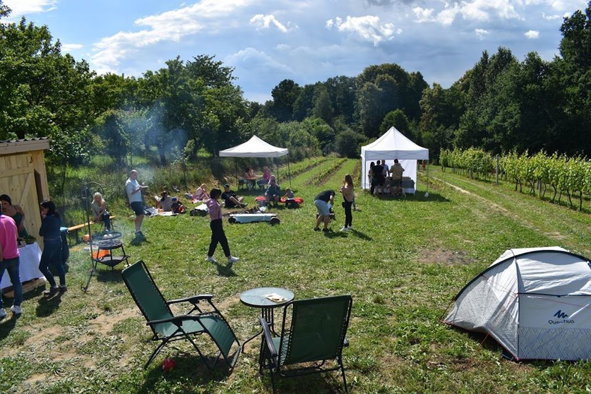 Prezentacja win z rocznika 2019, Winnica Zagrabie