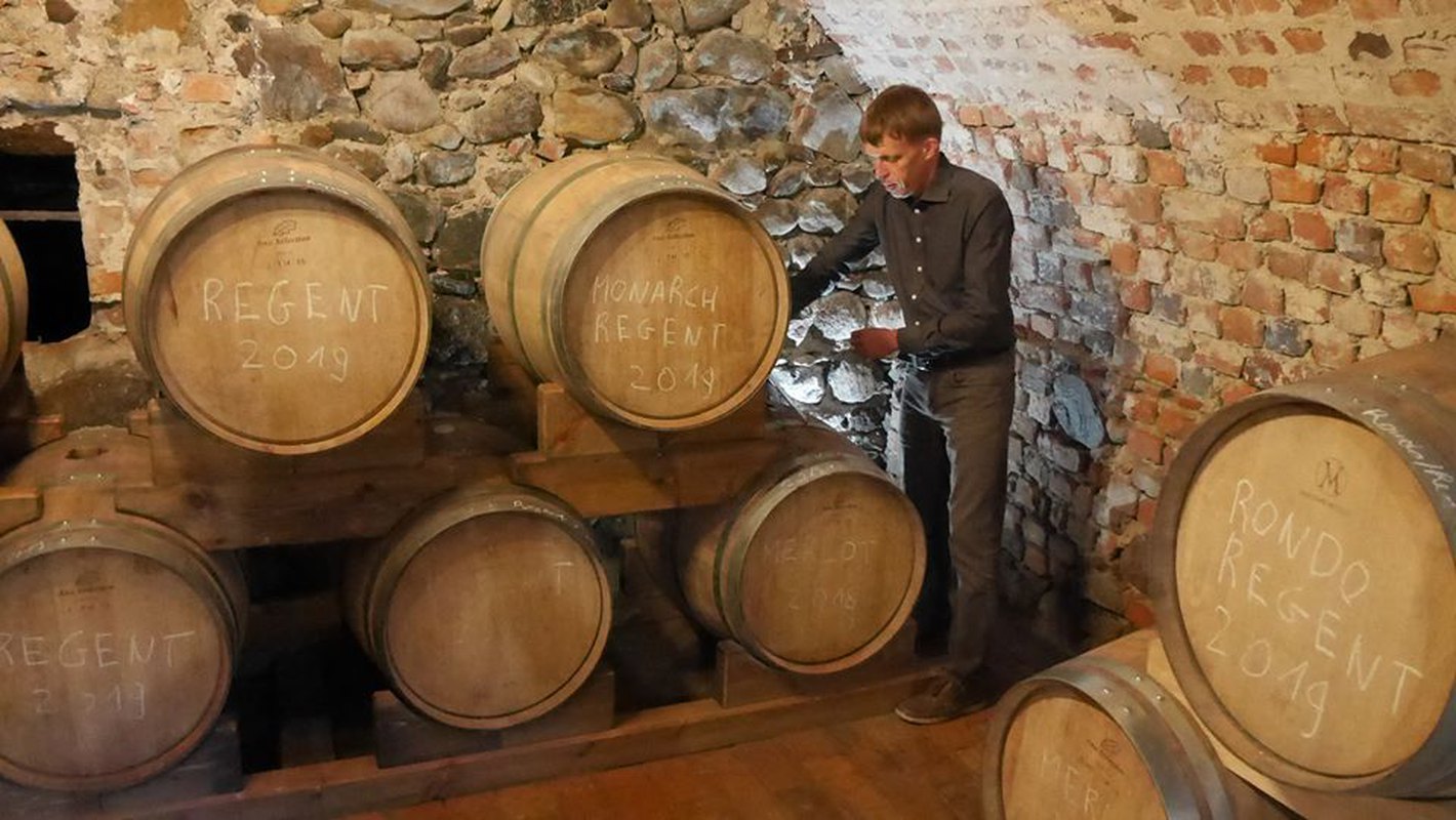 Wakacyjny Winobus 3 winnice: Saganum SaintVincent Alwarium