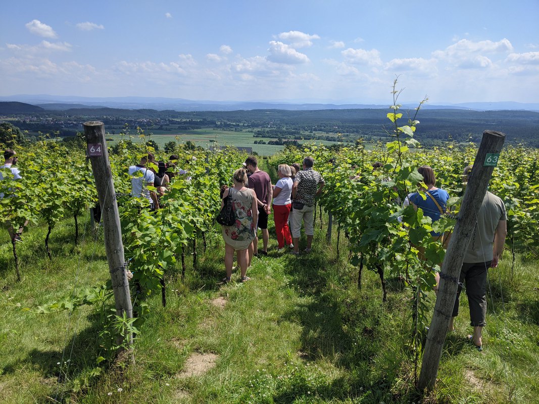 Dzień Otwarty Winnicy Jura, 22 sierpnia