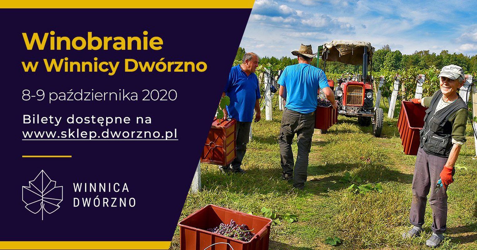 Winobranie w Winnicy Dwórzno 2020