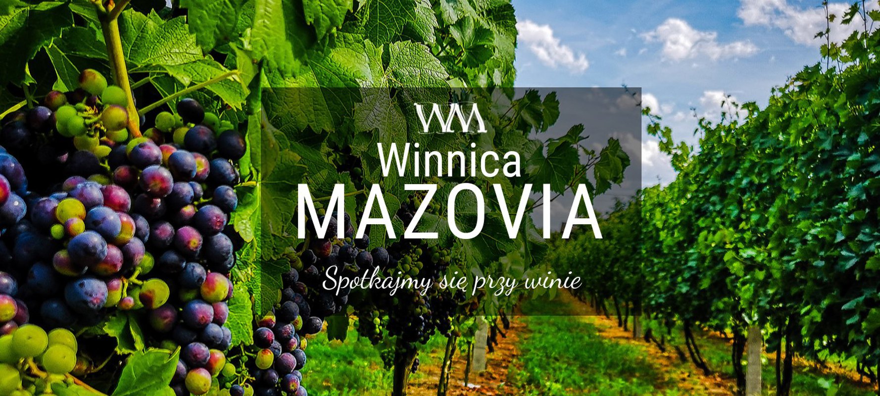 Majówka w winnicy - godzinę od Stolicy