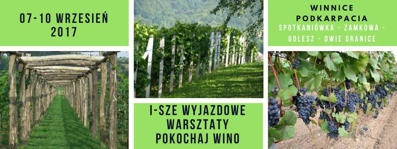 Wycieczka "Winnice Podkarpacia"
