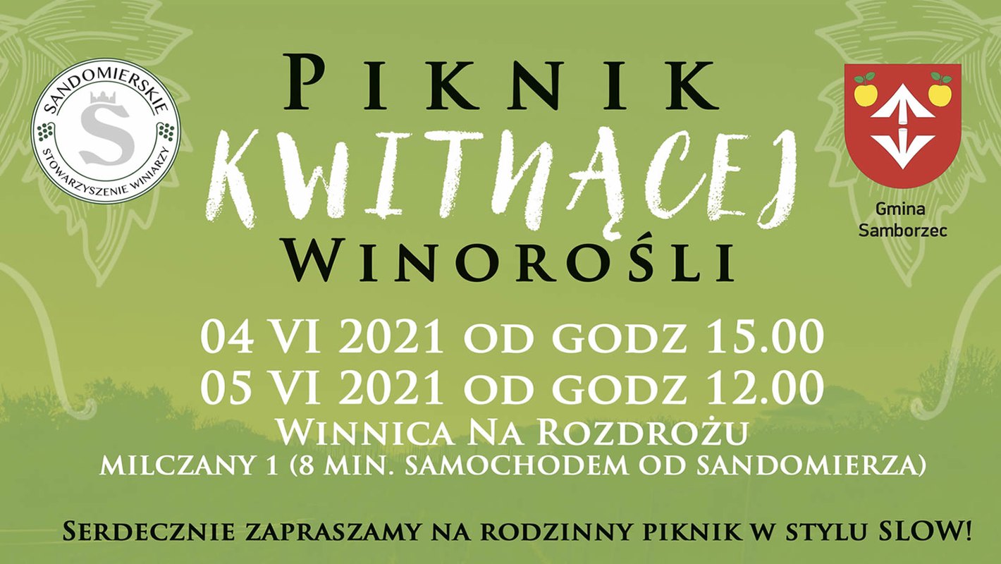 Piknik Kwitnącej Winorośli - Winnica na Rozdorżu