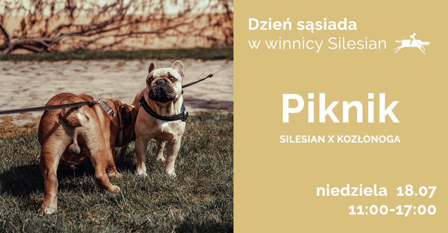 Dzień sąsiada w Bagieńcu, Piknik Winnicy Silesian x Kozłonoga