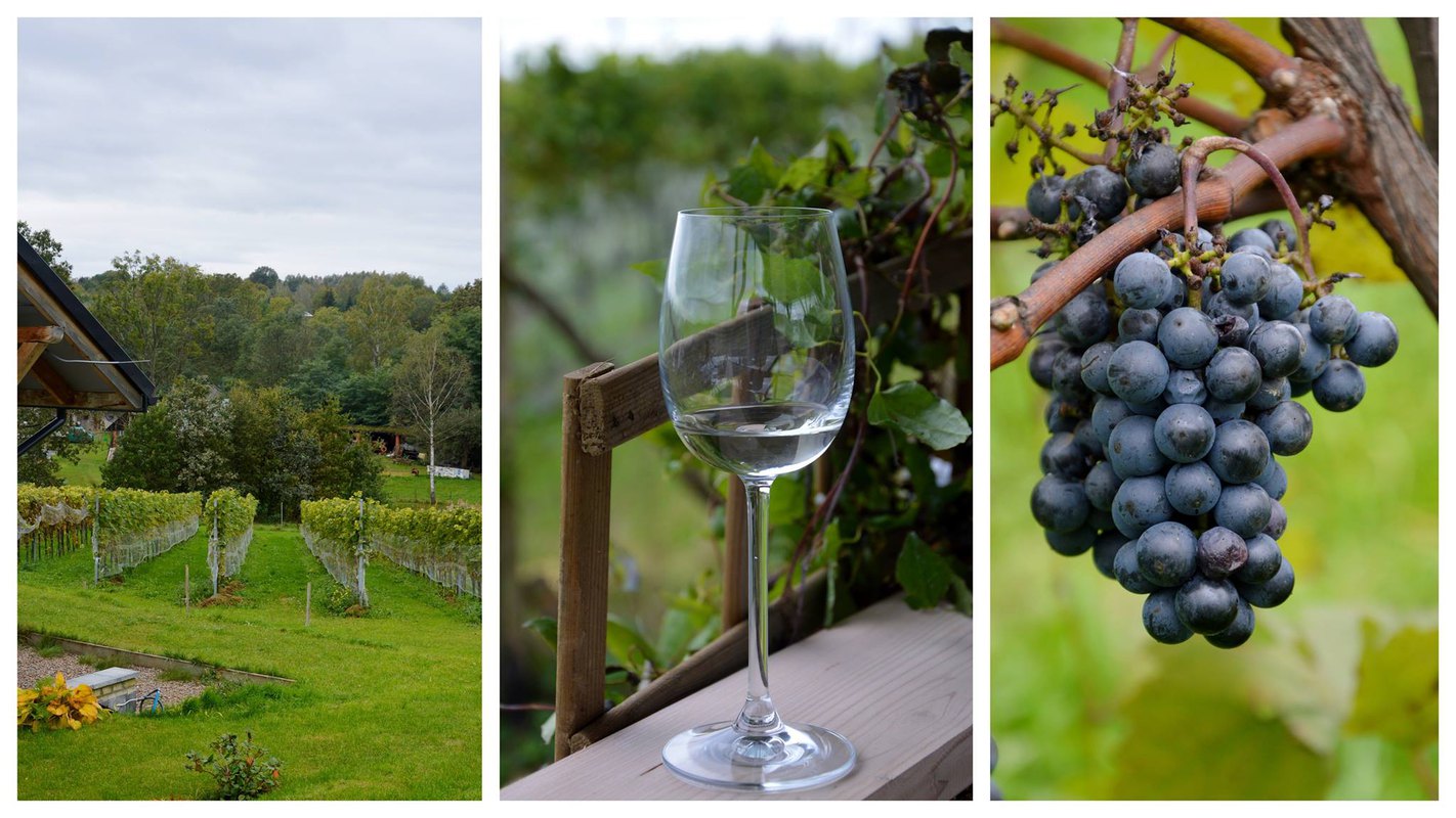 Wino słońcem podszyte - regiony winne Półwyspu Iberyjskiego