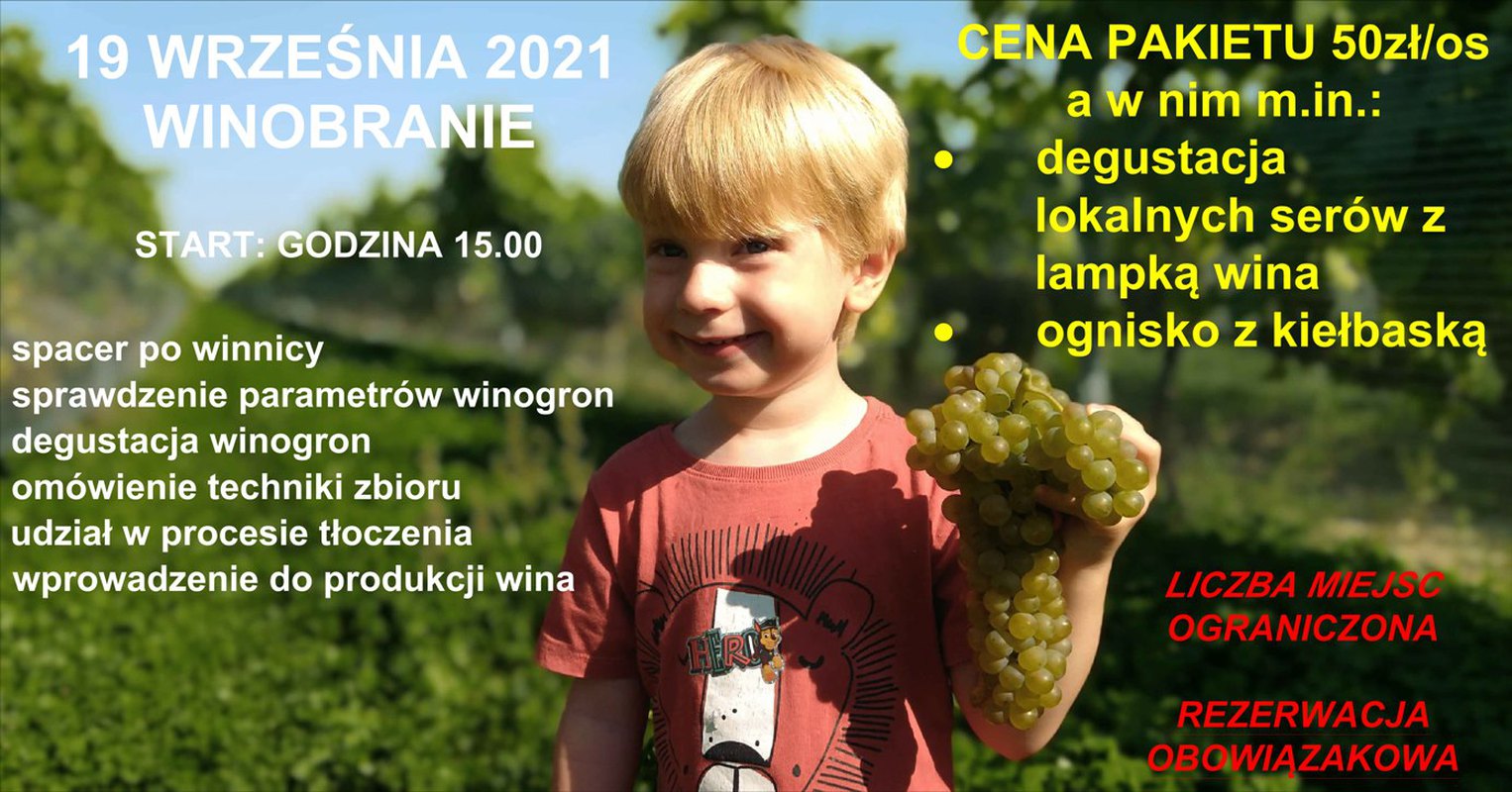 WINOBRANIE 2021w Winnicy Jania