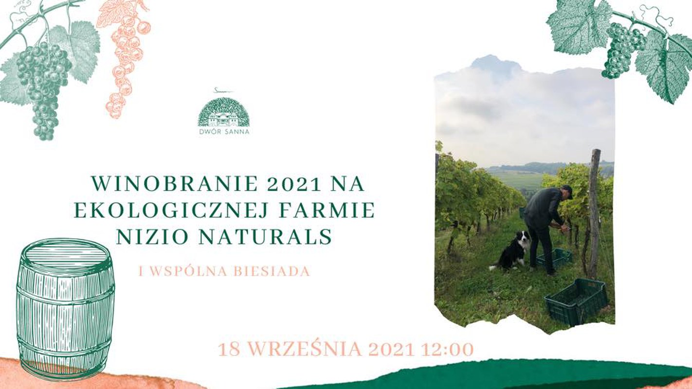 Winobranie 2021 na ekologicznej farmie Nizio Naturals