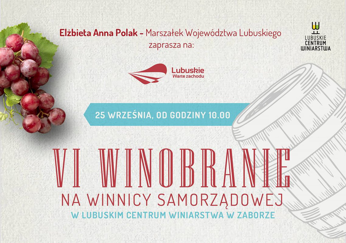 VI Winobranie na Winnicy Samorządowej w Zaborze