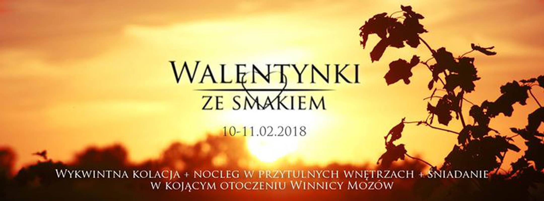 Walentynki ze smakiem, w Winnicy Mrozów