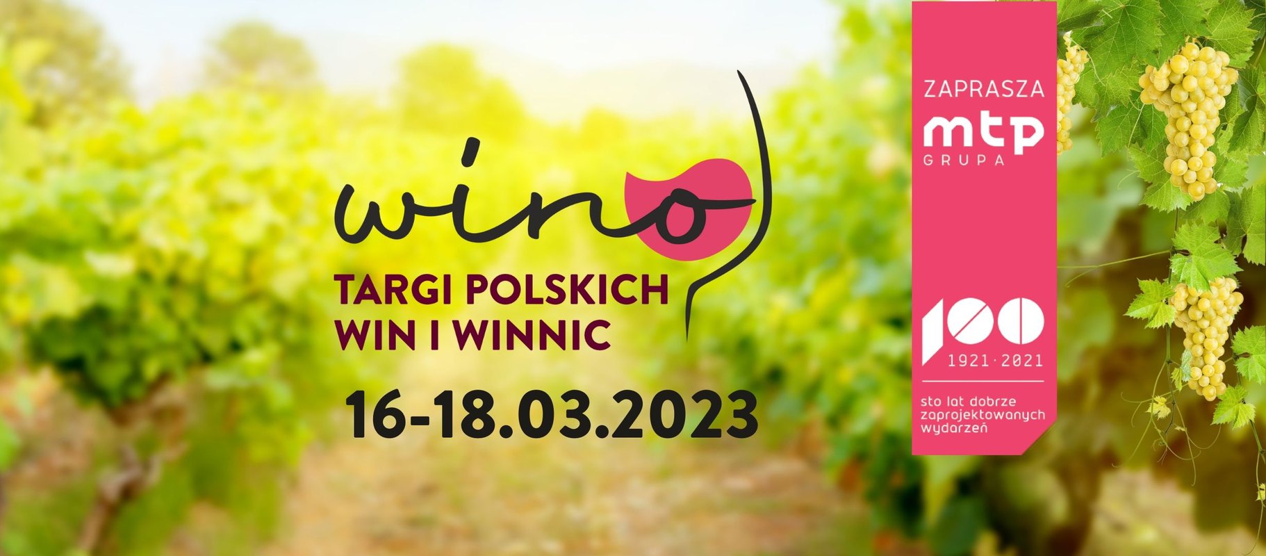 Wino Targi Polskich Win i Winnic 2023