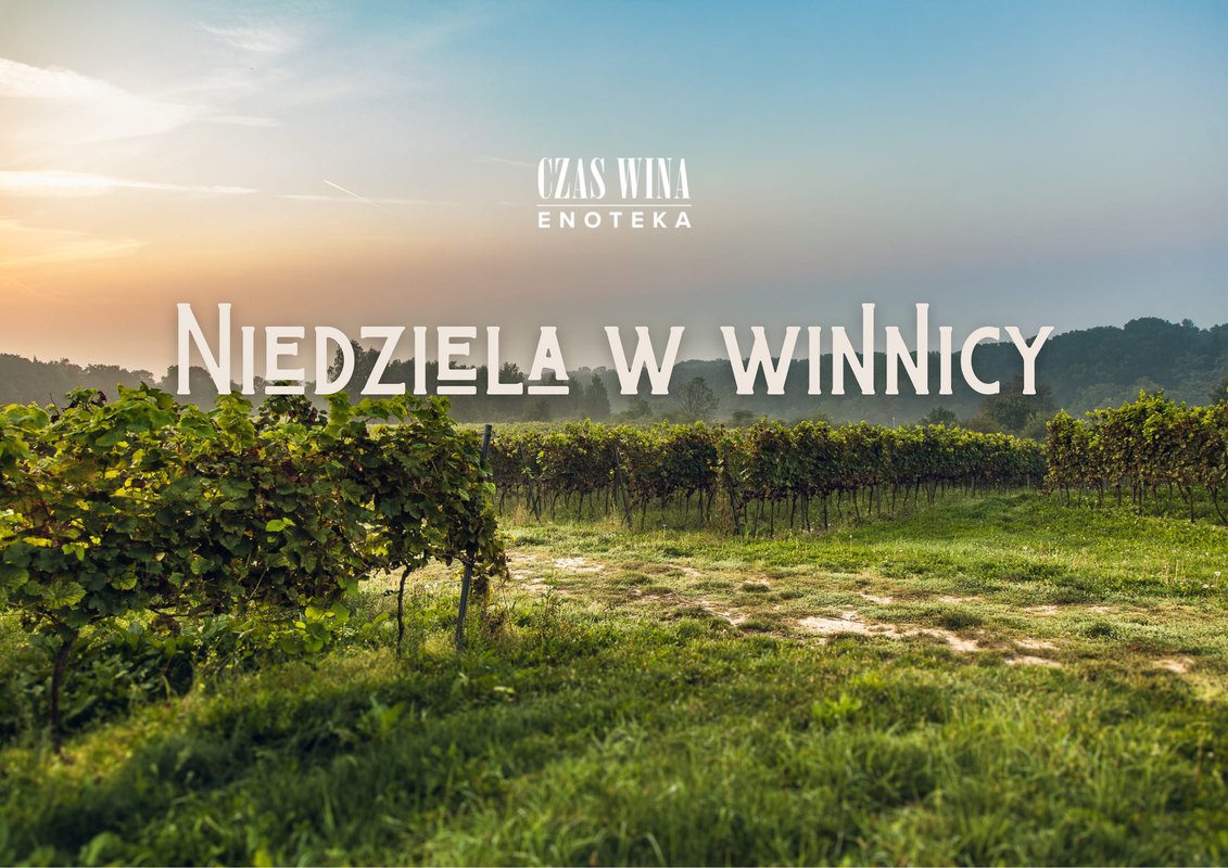 Niedziela w winnicy - Srebrna Góra i Klasztor Kamedułów