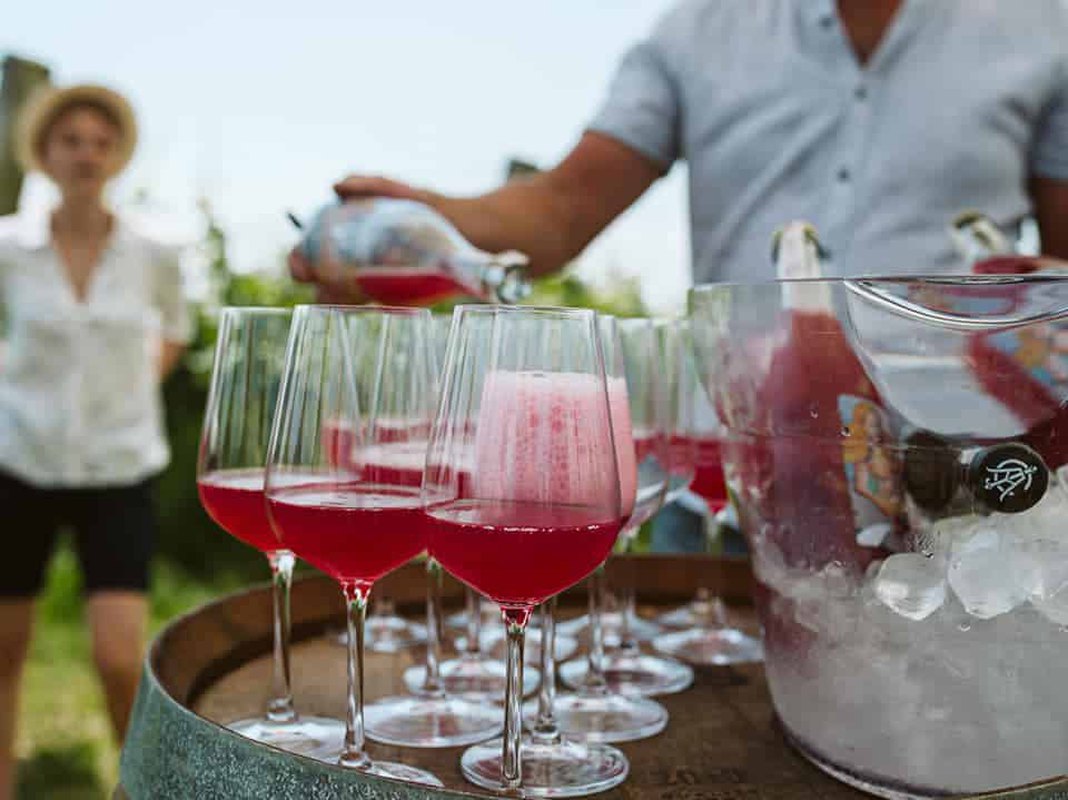 Bubble Breakfast na Winnicy - Winnice Wzgórz Trzebnickich