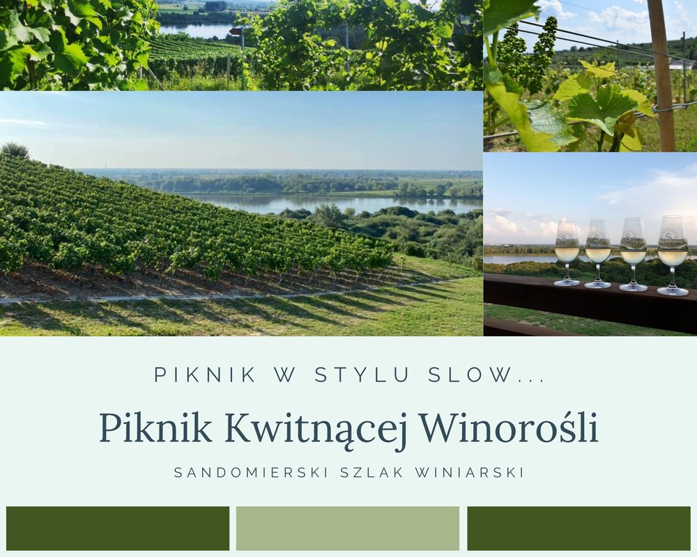 Piknik Kwitnącej Winorośli