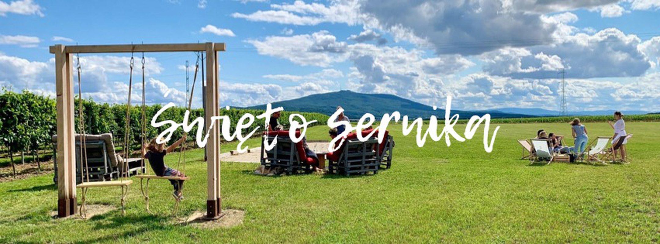 Święto sernika w Winnicy Silensi