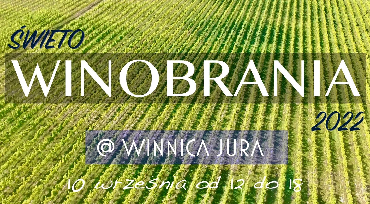 Święto Winobrania 2022; Winnica Jura