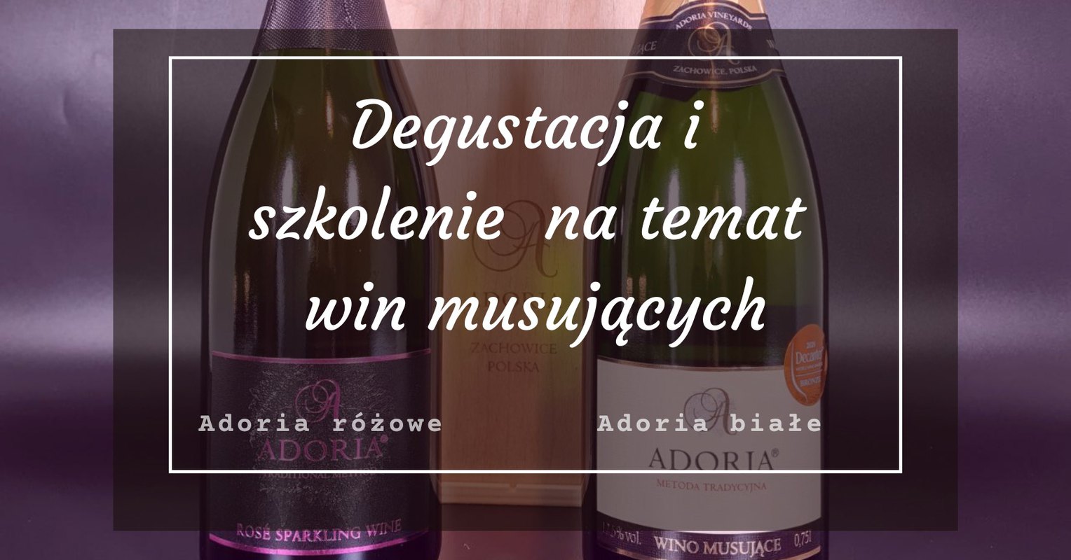 Degustacja i szkolenie na temat win musujących