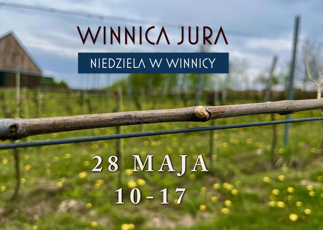 Niedziela w Winnicy Jura 28 maja