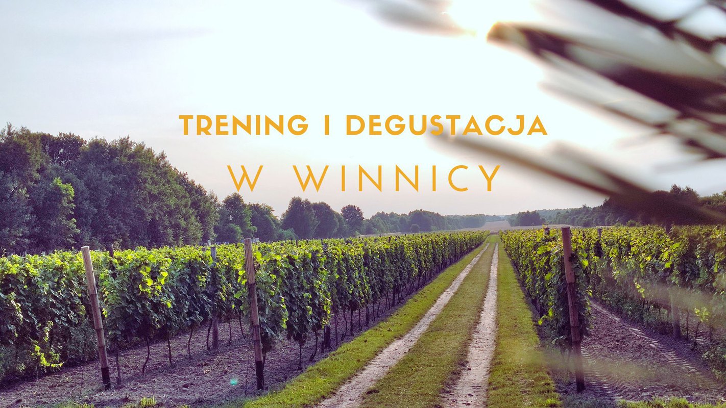 Trening i degustacja w winnicy