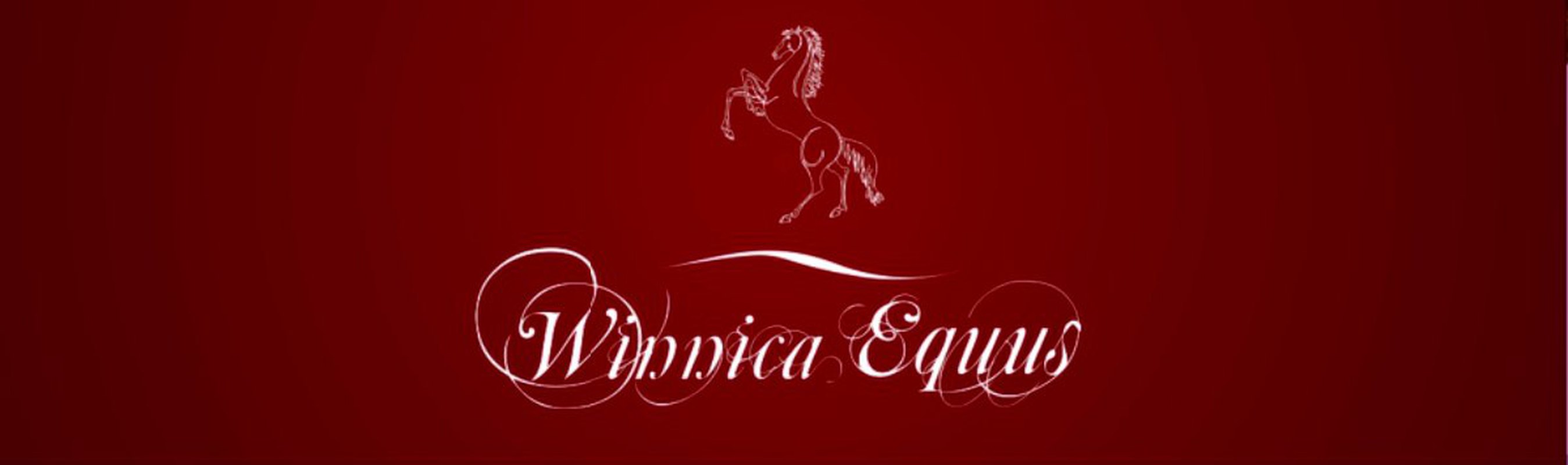 WINNICE LUBUSKIE wczoraj i dziś