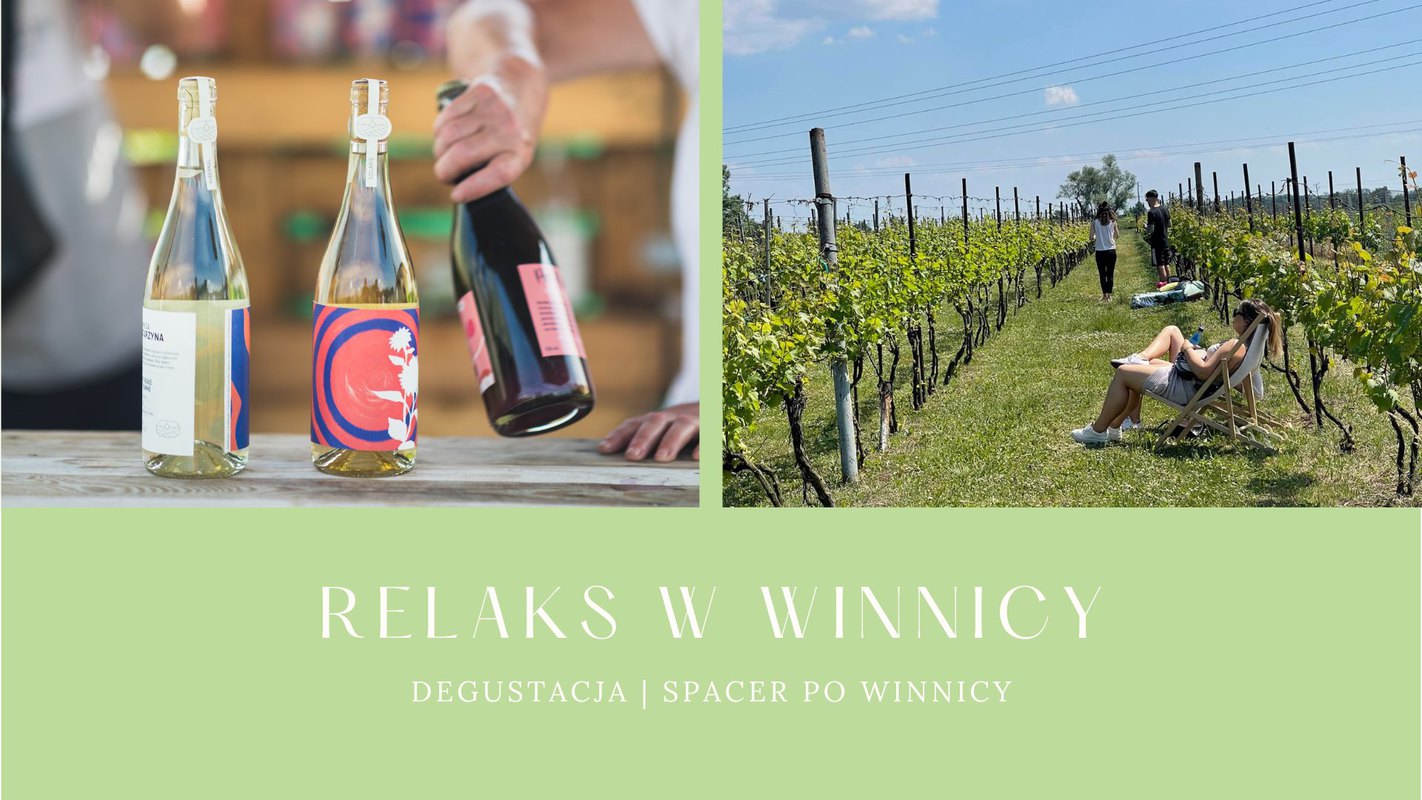 Wino i natura. Winnica Katarzyna