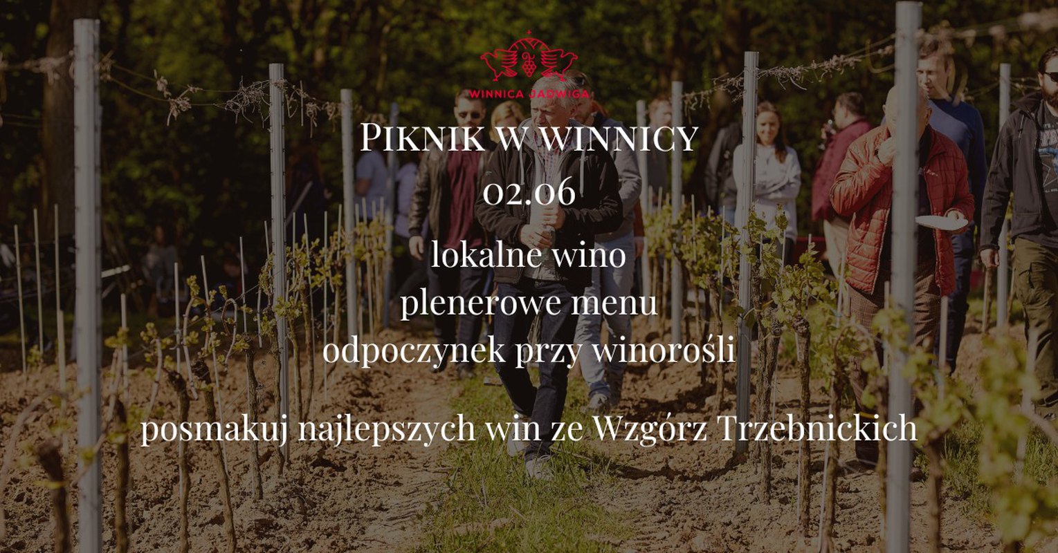 Piknik w Winnicy Jadwiga