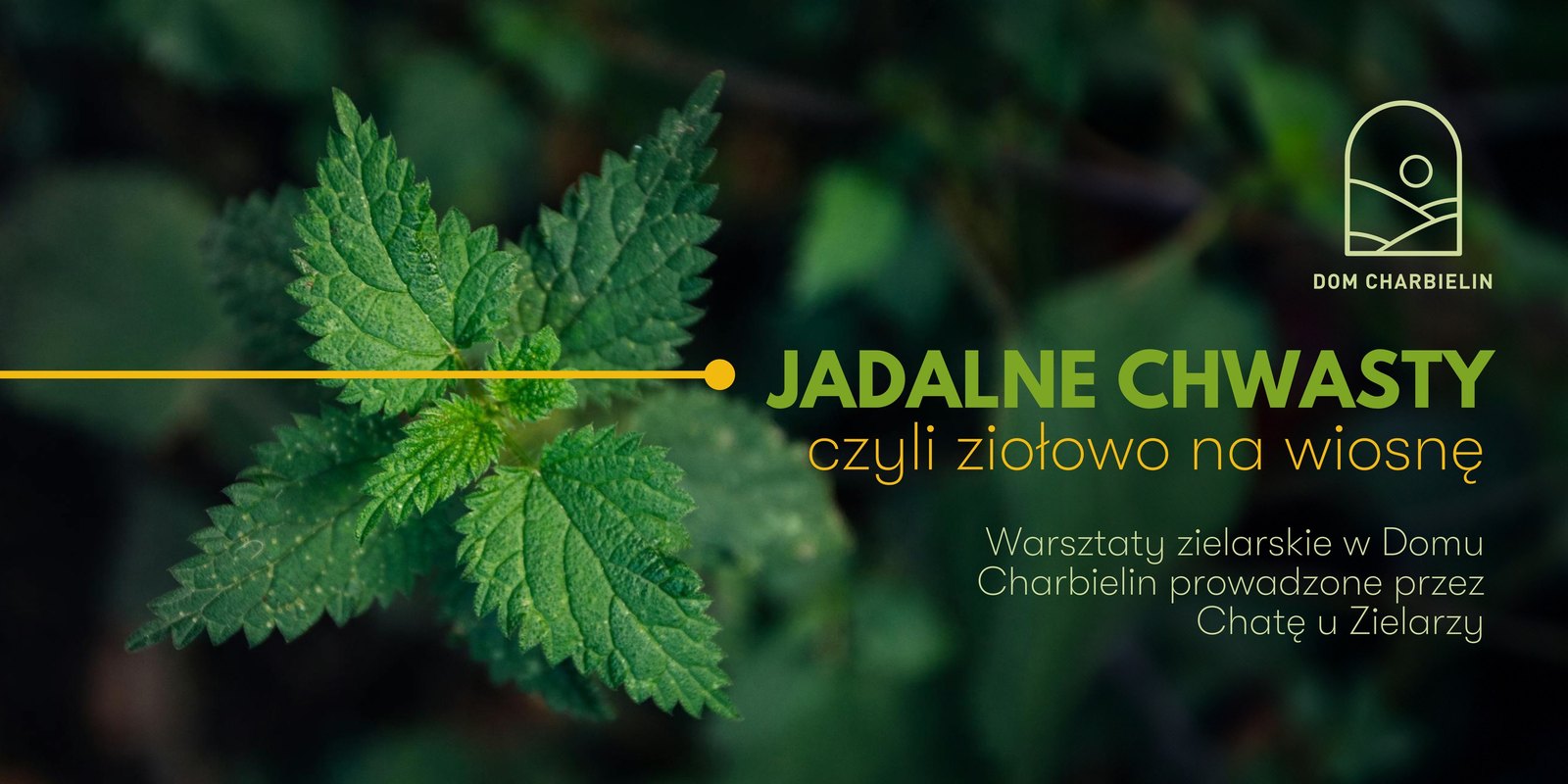 Jadalne chwasty - warsztaty w Domu Charbielin