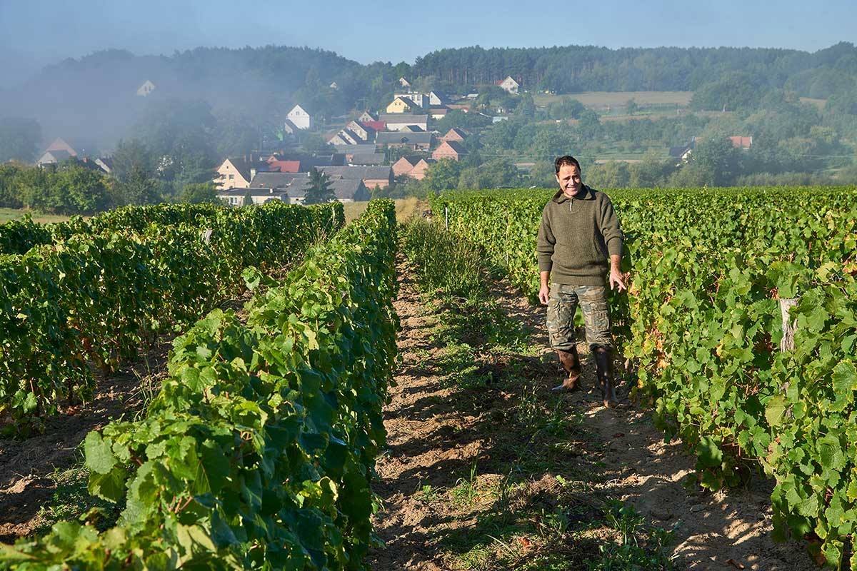 Winnica Gostchorze w Moti Wine Bar & Shop