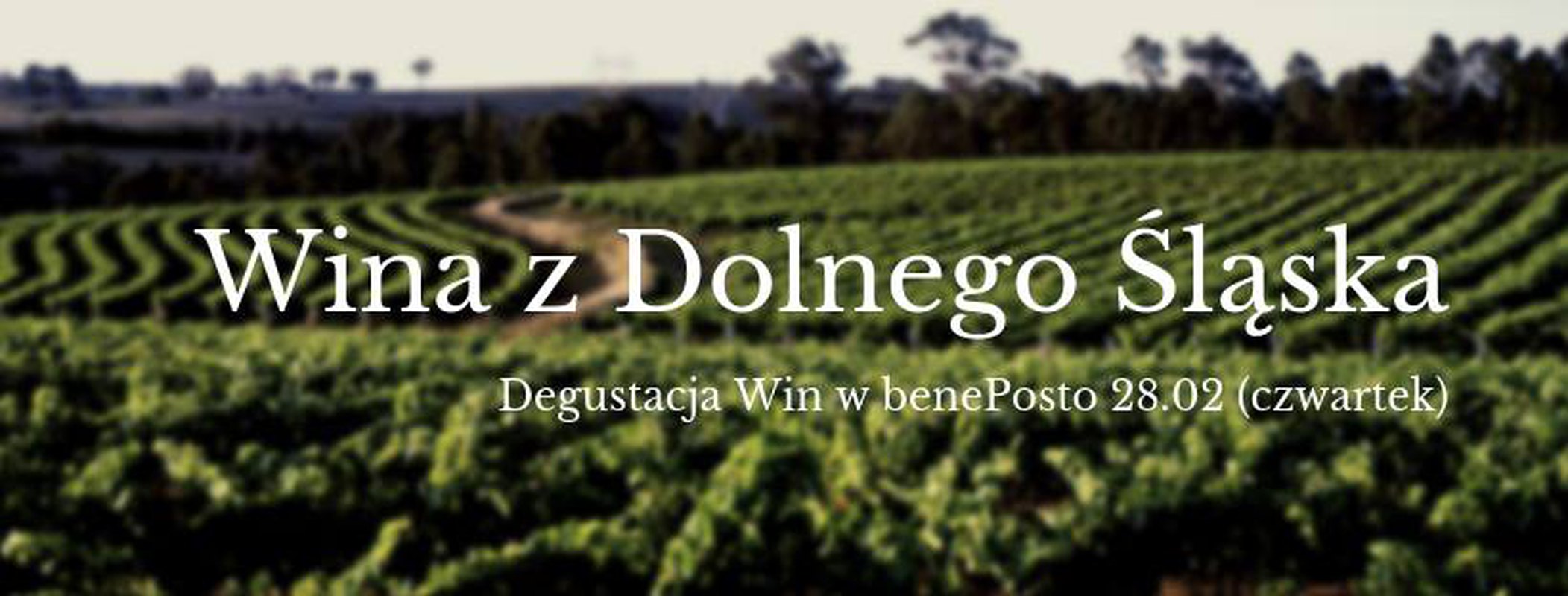 Wina z dolnośląskich winnic