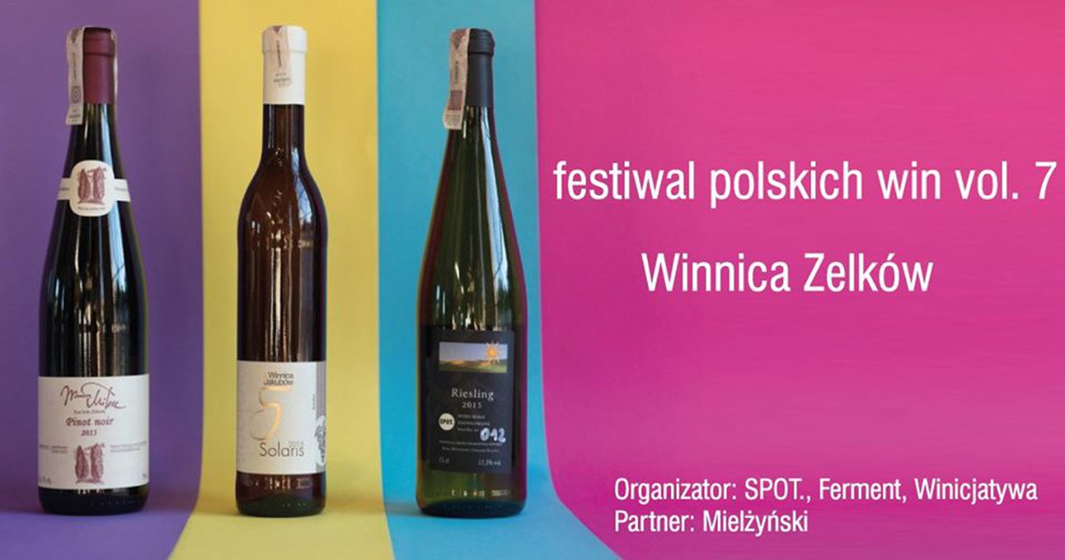 Polskie wino 7 / 2020 I Mielżyński I Winnica Zelków