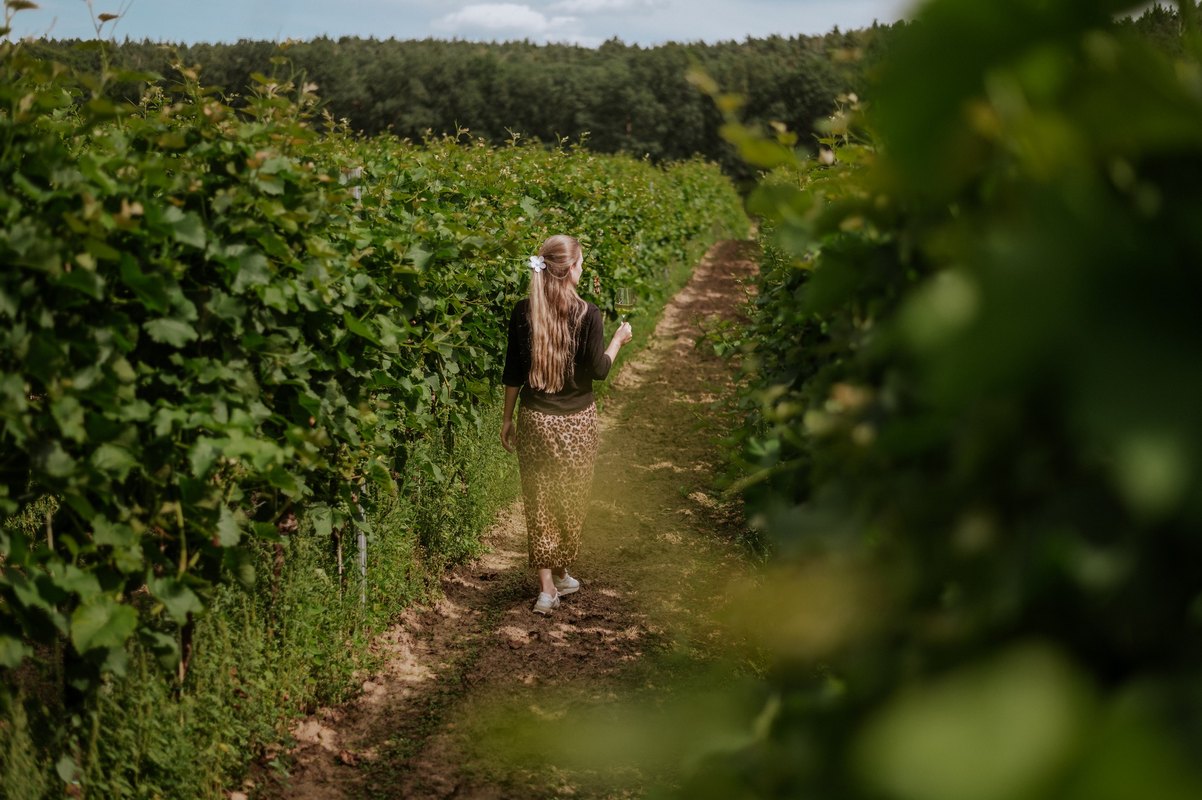 zwiedzania winnicy i winiarni Folwarku Pszczew