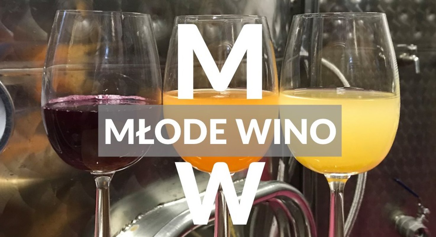 Młode Wino 2019 w Winnicy TERRA