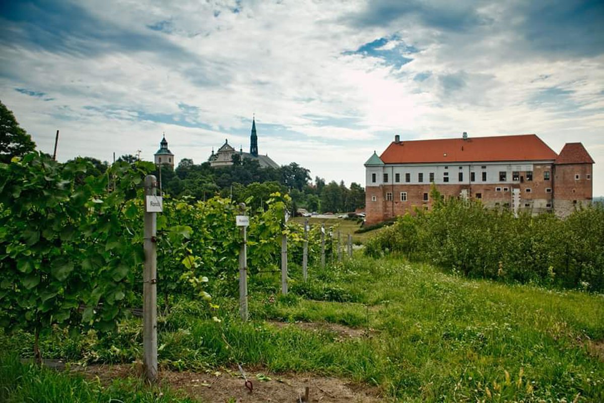 Sandomierski Szlak Winiarski-degustacja wyjazdowa