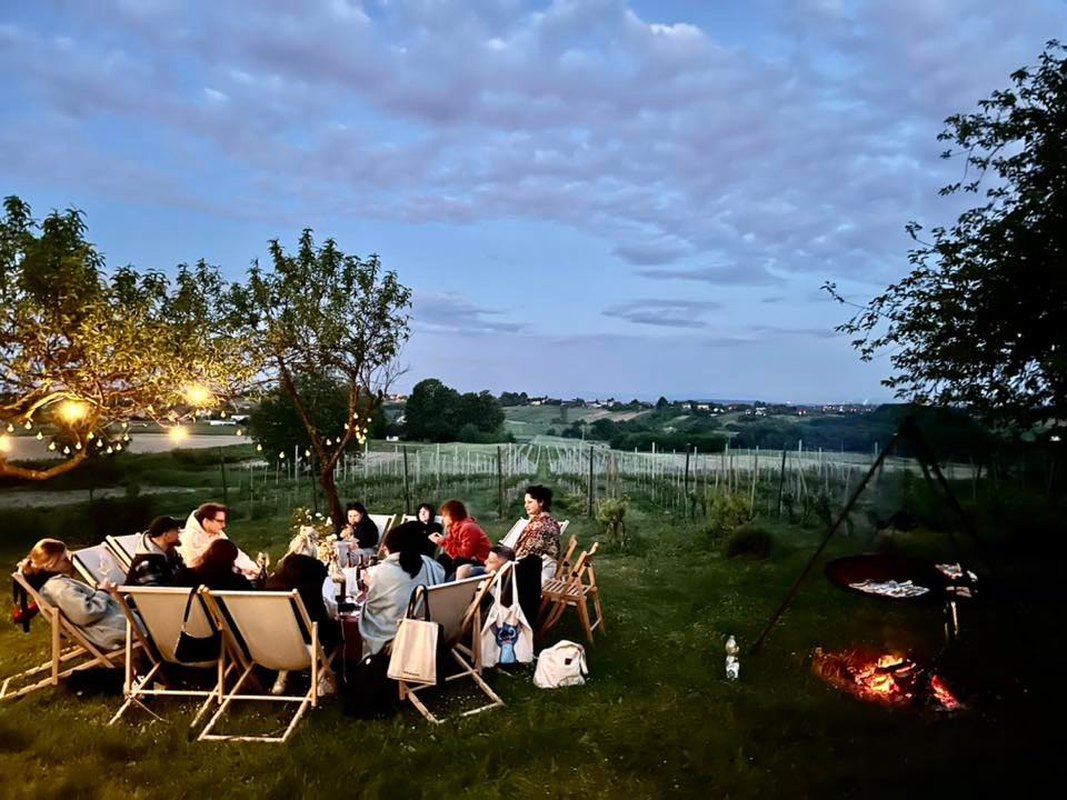 Amonit w Dzikim Winie na Kleparzu