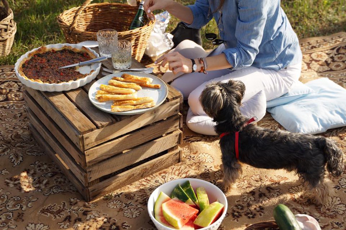 Piknik w winnicy - Winnica na Jurze