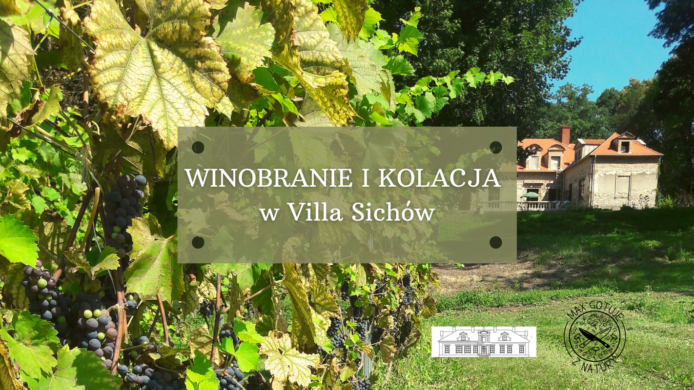 Winobranie i Kolacja w Villa Sichów