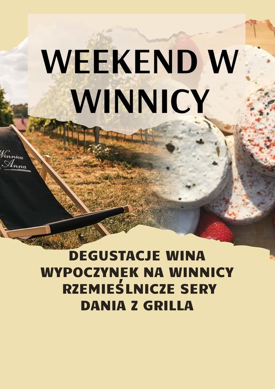 (nie)WINNE LEŻAKOWANIE w Winnicy Anna #2.3 WINO & SERY