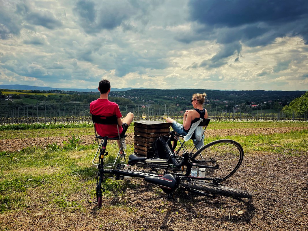 Piknik w Winnicy Wieliczka, 24.07.