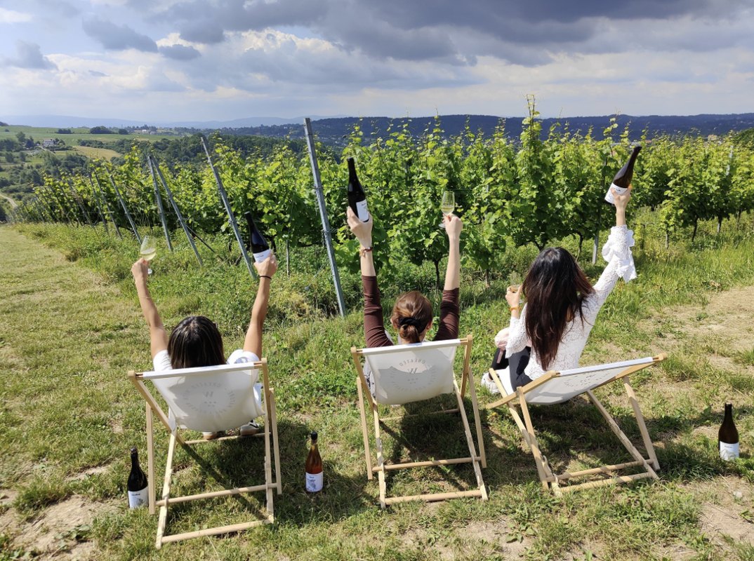 Piknik W Winnicy Zakończony Ogniskiem