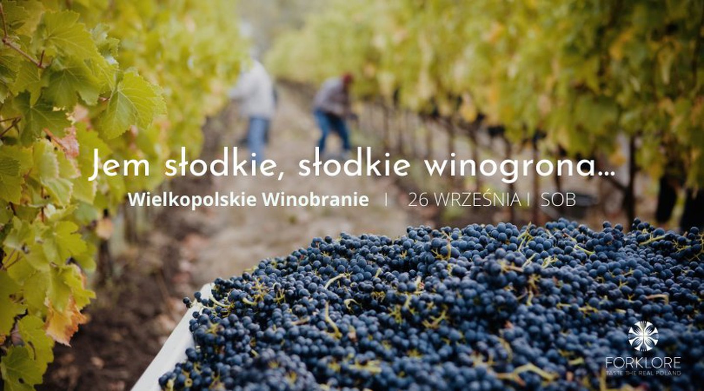 Jem słodkie, słodkie winogrona - Wielkopolskie Winobranie