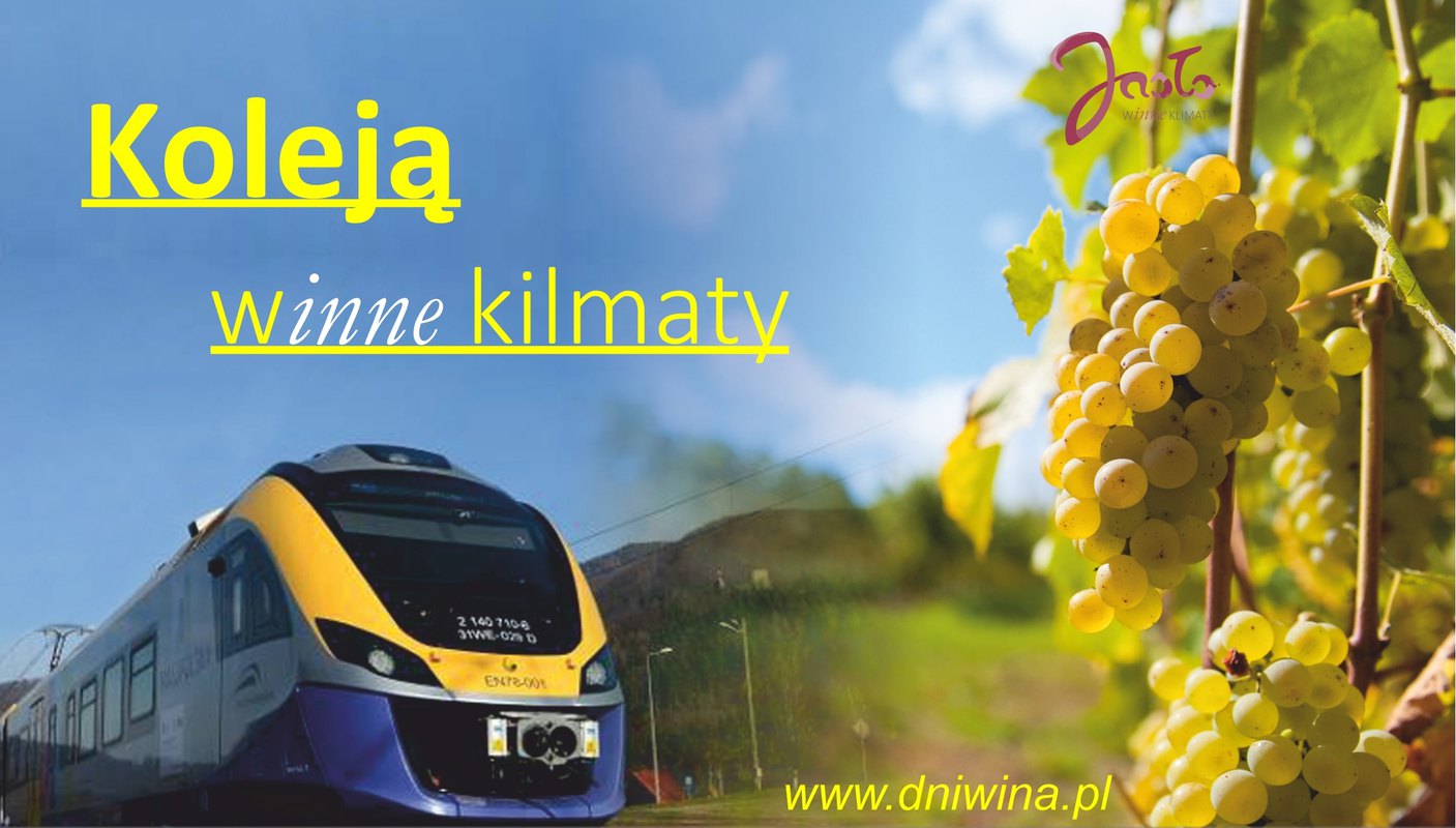 KOLEJĄ WINNE KLIMATY !