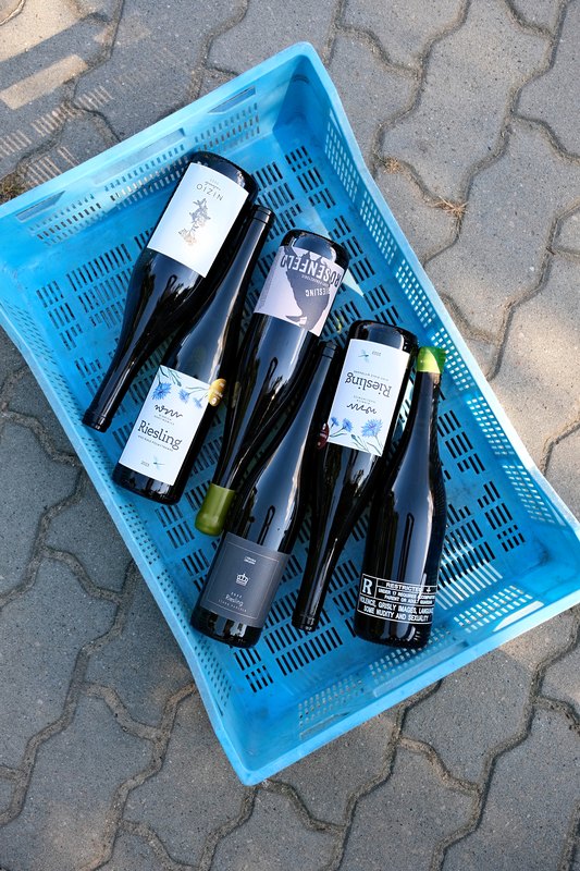 Polskie wina medalowe - Riesling!