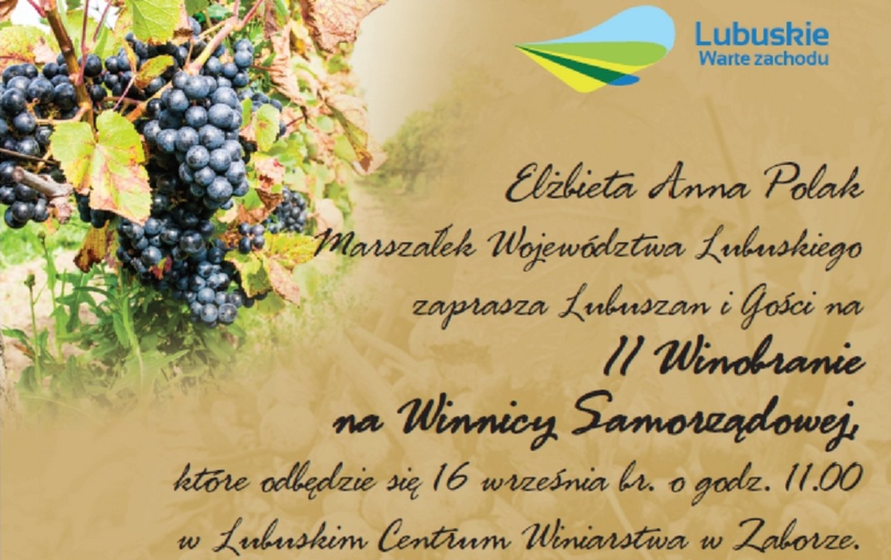 II Winobranie na Winnicy Samorządowej